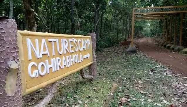  ଛୁଆ ହାତୀର ମୃତ ଦେହ ଭାସୁଥିବା ଅବସ୍ଥାରେ ଉଦ୍ଧାର