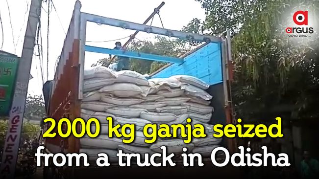 2000 kg ganja seized in Odisha, One detained