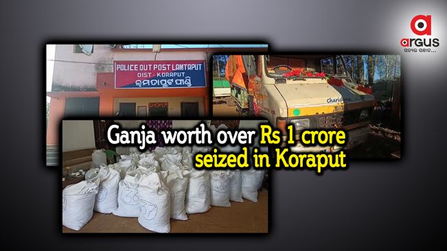 Ganja worth over Rs 1 crore seized in Koraput, 1 held