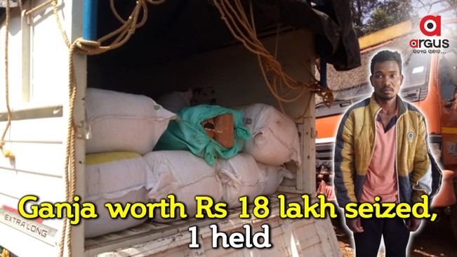 Ganja worth Rs 18 lakh seized from Bolero in Koraput, driver held