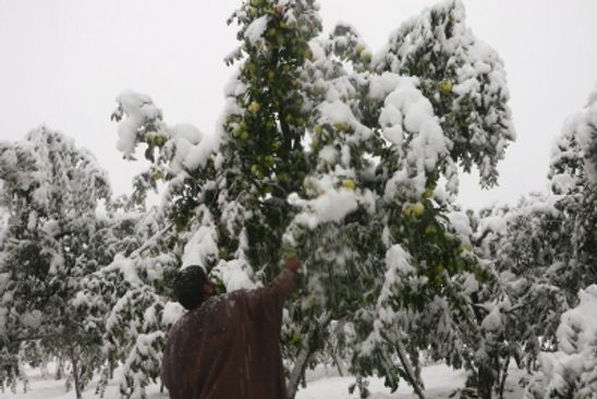 MeT issues advisory for moderate to heavy snowfall in J&K, Ladakh