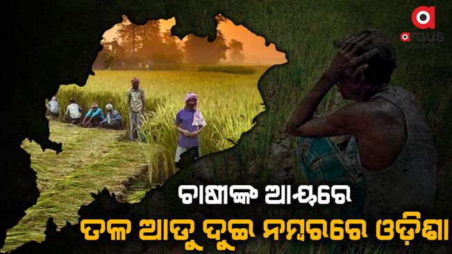 The average monthly income of a farming family in Odisha is Rs 5,112