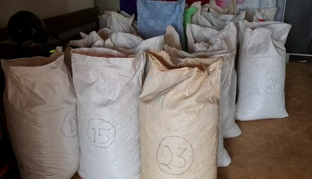 Over 700 kg ganja seized from coconut-laden truck in Koraput
