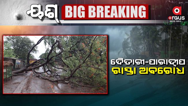 ଉପୁଡ଼ିଲା ଗଛ, ଦୈତାରୀ - ପାରାଦ୍ୱୀପ ରାସ୍ତା ଅବରୋଧ