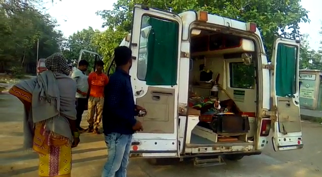 ଭାଲୁ ଆକ୍ରମଣରେ ଯୁବକ ଗୁରୁତର