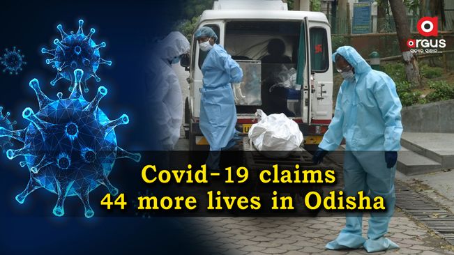 Odisha reports 44 more Covid-19 deaths in last 24 hours
