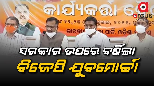 ସମ୍ବିଧାନ ପ୍ରଣେତା ଆମ୍ବେଦକରଙ୍କୁ ଅସମ୍ମାନ ଘଟଣାରେ ବର୍ଷିଲା ବିଜେପି