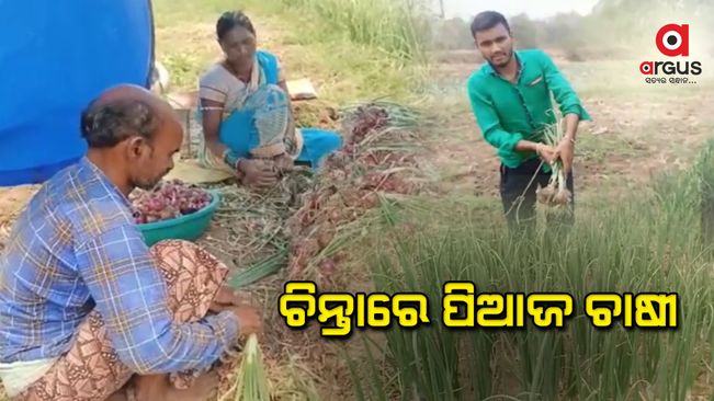 ଶାଗମାଛ ଦରରେ ଦଲାଲ ହାତରେ ପିଆଜକୁ ଟେକି ଦଉଛନ୍ତି ଚାଷୀ