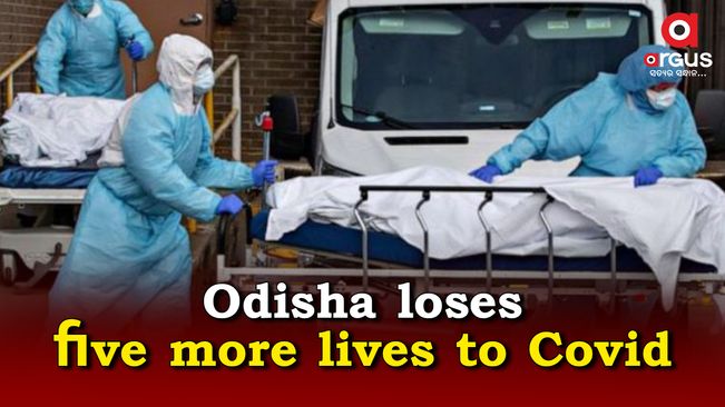 5 more die of Covid19 in Odisha; death toll rises to 8,040