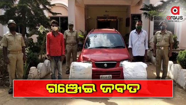 ବିପୁଳ ପରିମାଣର ଗଞ୍ଜେଇ ଜବତ, 2 ଗିରଫ