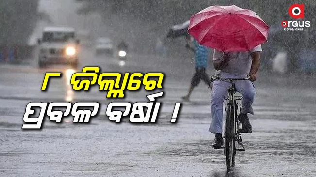 weather update in odisha today