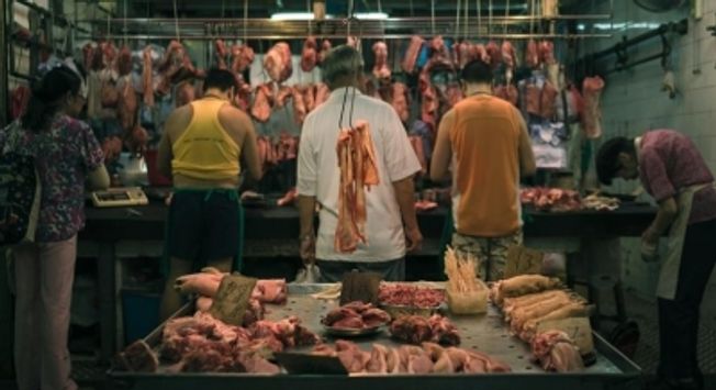 Yogi govt shut down 150 illegal slaughterhouses