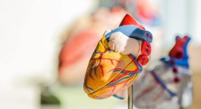 Heart care lies in your own hands, says top cardiologist on World Heart Day