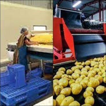 21 projects inaugurated during 'Food Processing Week'
