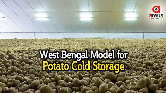 Odisha Cold Storage Association urges state govt to follow WB model for potato production, storage
