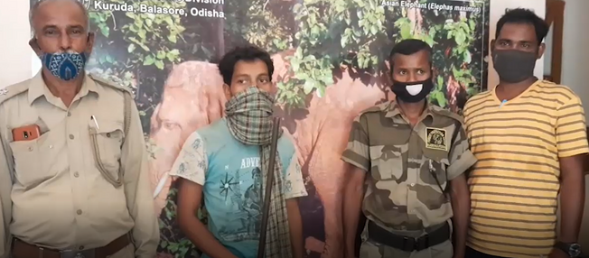 Four poachers arrested in Nilgiri forest
