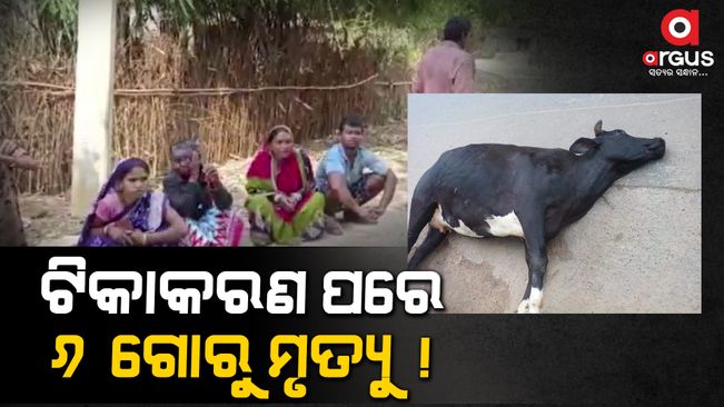 6 cows dead in keonjhar