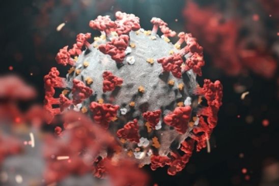 How heavily mutated Omicron variant is spreading so fast, sparing lungs