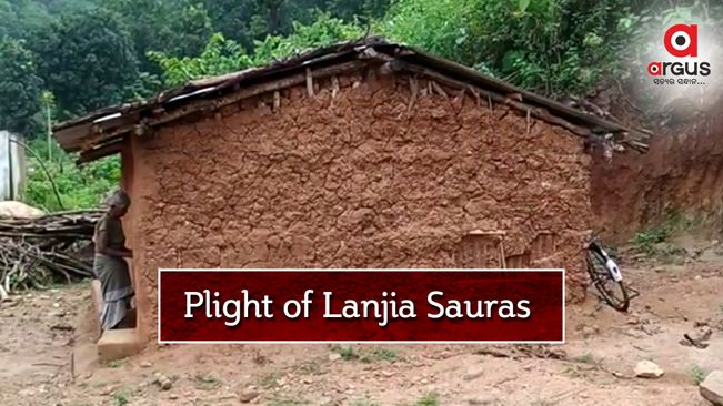 Development remains a distant dream for primitive Lanjia Saura tribals of Gunupur