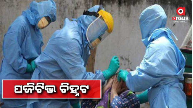 816 crore corona positives have been identified in the state