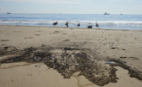 'Massive oil spill off California coast a potential ecological disaster'