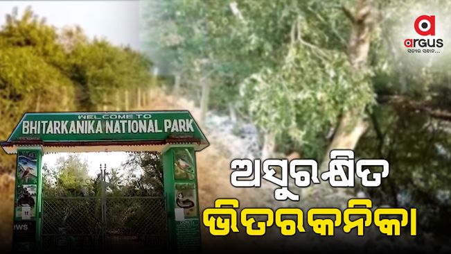ଆଗରେ ବାଡ କିନ୍ତୁ ପଛପଟ ମୁକୁଳା, ଭିତରକନିକାରେ କେତେ ସୁରକ୍ଷିତ ବନ୍ୟଜନ୍ତୁ ?