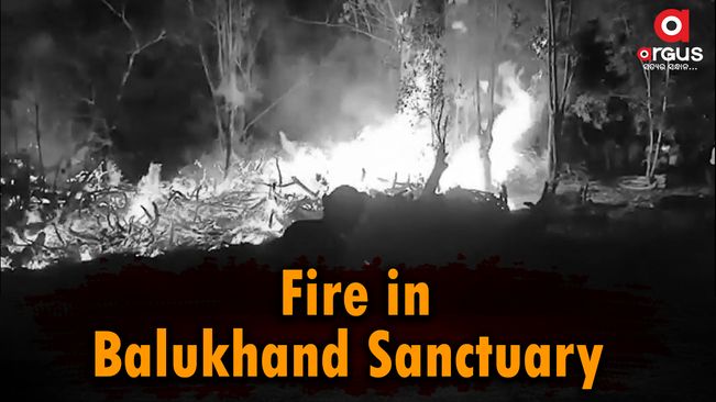 Miscreants suspected to have caused major forest fire in Balukhand Wildlife Sanctuary.