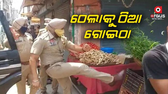 ପରିବା ଦେକାନୀଙ୍କ ଠେଲାକୁ ଠିଆ ଗୋଇଠା