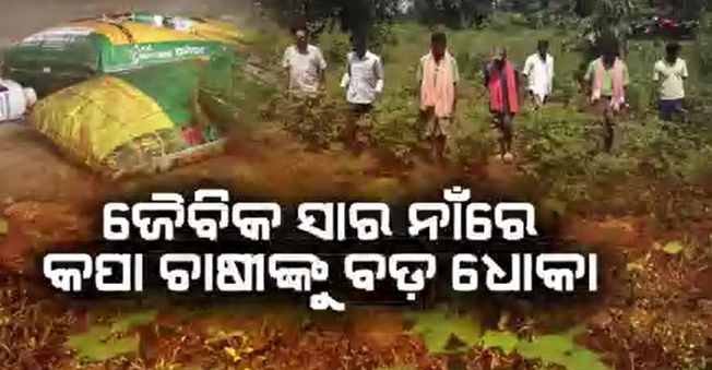 cotton-farmer-faces-problem-in-the-name-of-Organic fertilizers-