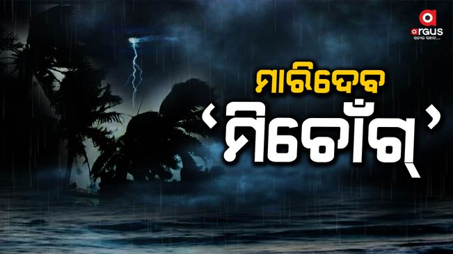 cyclone-michaung-update-news