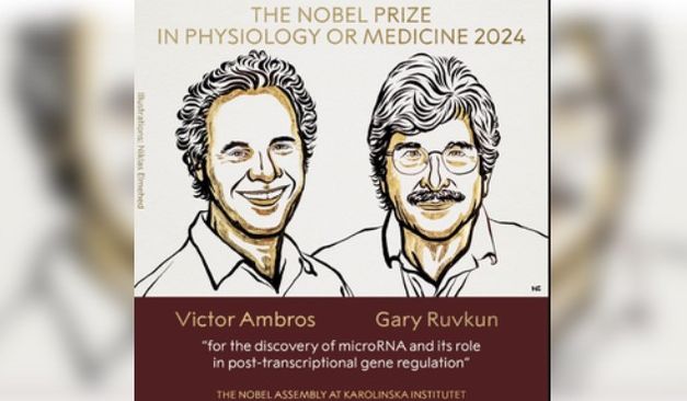 US Scientists Awarded 2024 Nobel Prize In Medicine For MicroRNA Discovery