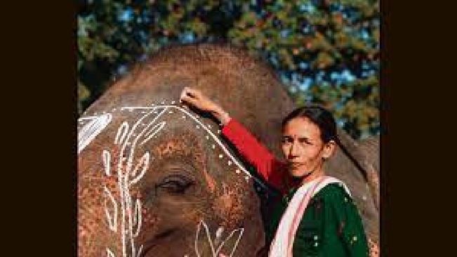 From Mahout To Protector: Assam’s 'Elephant Girl’ Barua Broke Glass Ceiling To Do It All