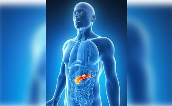 Pancreatic Cancer Patients May Benefit From A Ketogenic Diet 