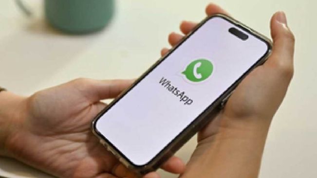 This WhatsApp feature will let you respond quickly to status updates in future
