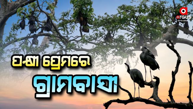 villager devoted to the service of birds  in boudh