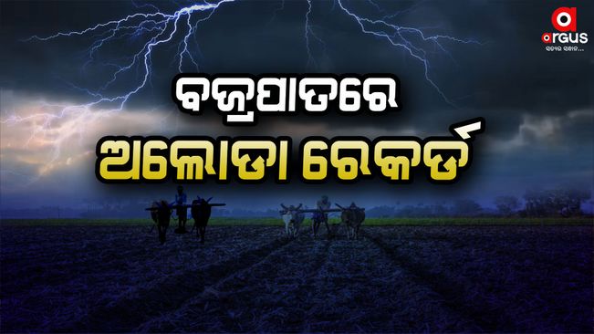 Odisha has lost the most lives in the country in the last 5 years-in-lightening