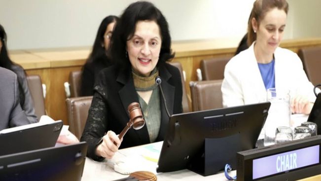 Ruchira Kamboj Chairs Briefing Ahead Of 62nd UN Commission For Social Development