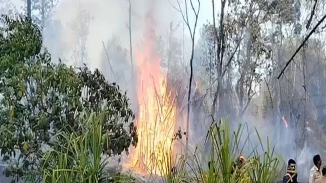 Kerala: Forest fire breaks out in Wayanad