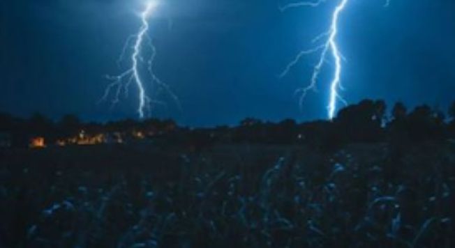 Over 800 Killed In Lightning Strikes In Odisha In Last 2 Years