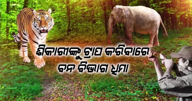 forest department is slow to trap poachers