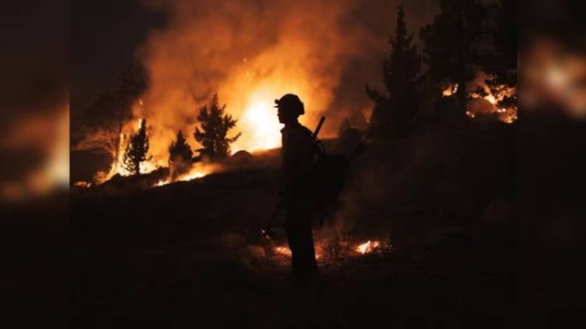 Death Toll In Chile Wildfires Rises To 99