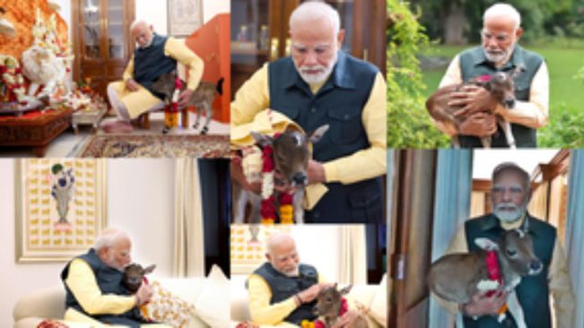 PM Modi has a new member at his residence, Deepjyoti