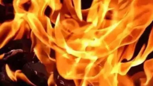 Fire Breaks Out In Delhi Apartment, Two Rescued