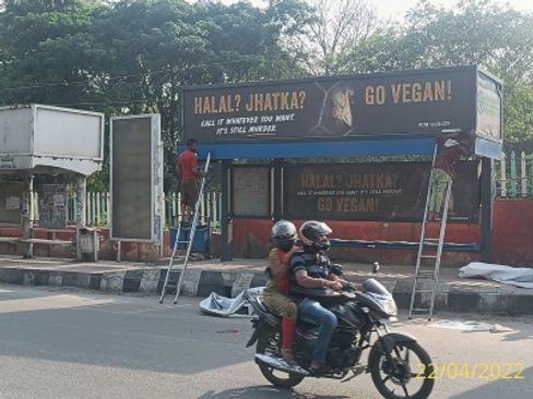 Amid 'halal' meat controversy in K'taka, PETA India pitches 'Go Vegan' message