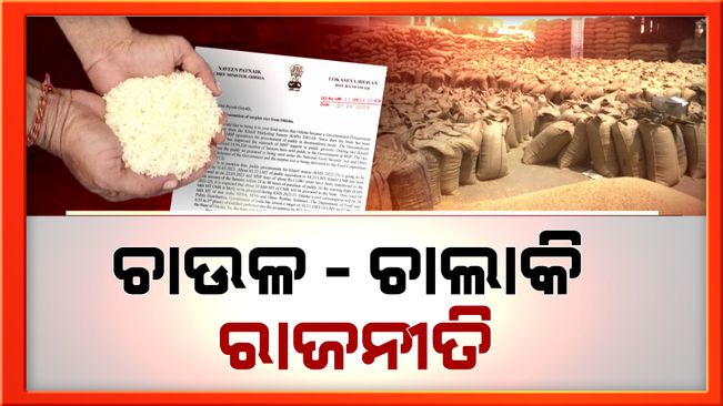 Rice Politics