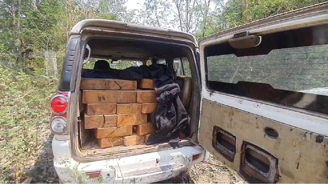 Illegal Wood Worth Rs 80K Seized In Keonjhar 