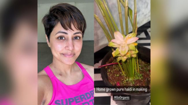 Hina Khan goes organic amid cancer treatment, grows turmeric at home