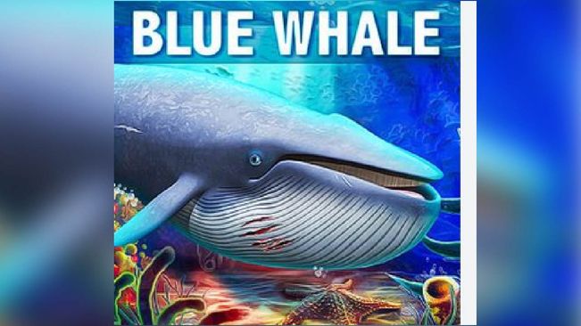 The deadly Blue Whale game that resulted in several deaths
