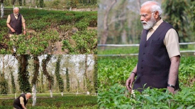 PM Modi Spends Time At Tea Garden In Assam, Promotes Tourism Around It