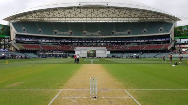 "History Suggests..." Adelaide Head Pitch Curator On Role Of Spinners